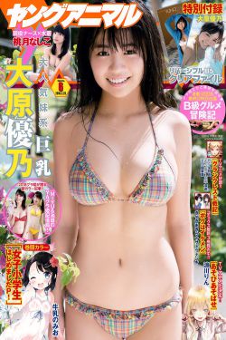 新江山美人